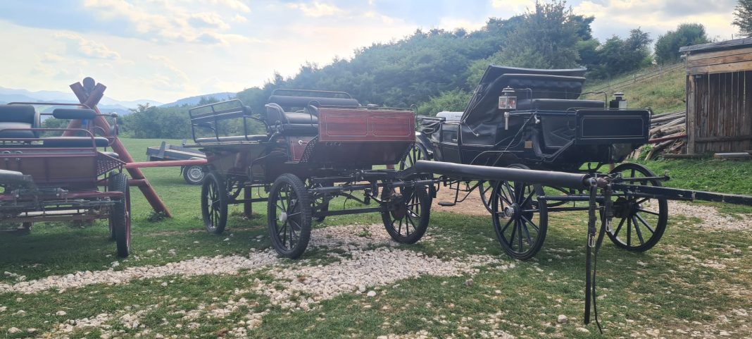 Cu trasura pe munte