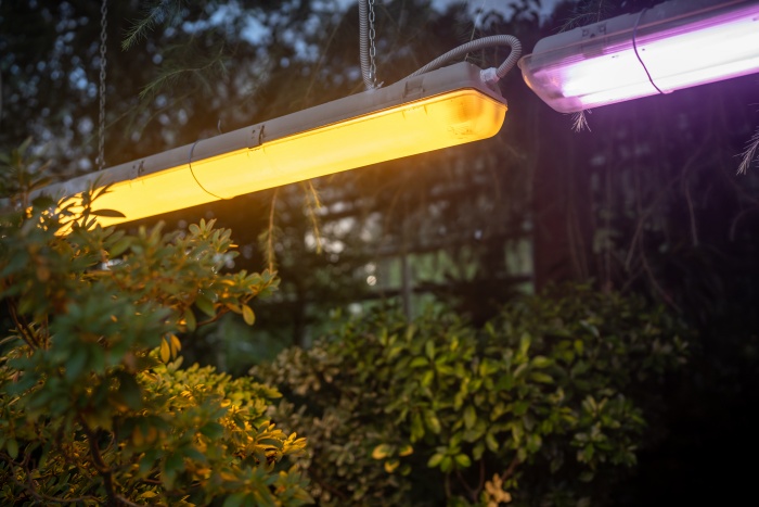 De ce e esențial să apelezi la profesioniști pentru iluminatul exterior al curții tale