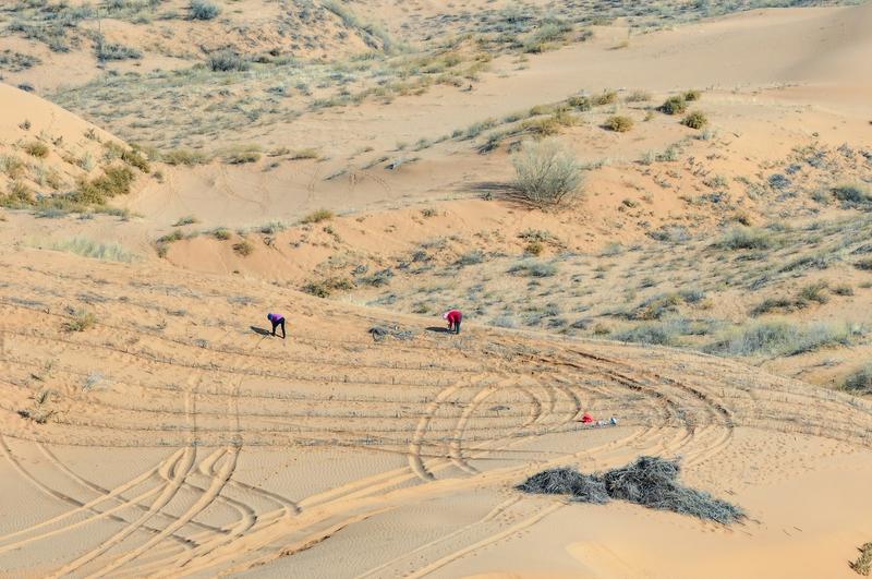 Deșertificare, Foto: Costfoto/NurPhoto / Shutterstock Editorial / Profimedia