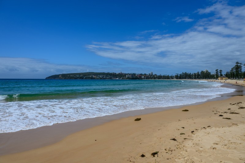 VIDEO Bile stranii au apărut din nou pe țărmul Australiei. Nouă plaje au fost închise de autorități