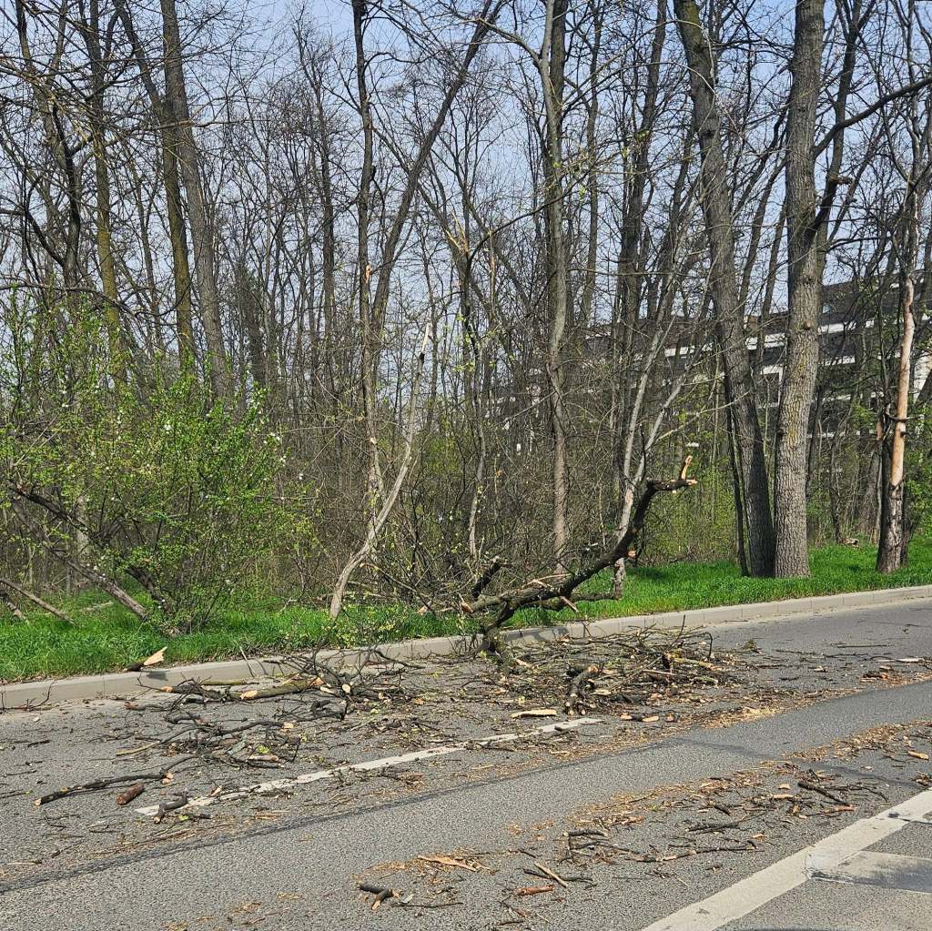 Sursa foto: Facebook / Info Trafic București-Ilfov