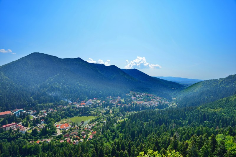 Cum au rezolvat problema urşilor autorităţile din Tușnad. Fost șef al Gărzii de Mediu: Animalele sunt hăituite de ATV-uri ce transformă habitatul lor în parc de distracţii