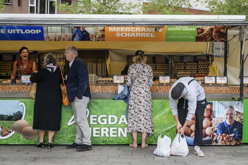 Râmele, motiv pentru un avertisment bizar în Olanda. Aliment de bază, posibil contaminat