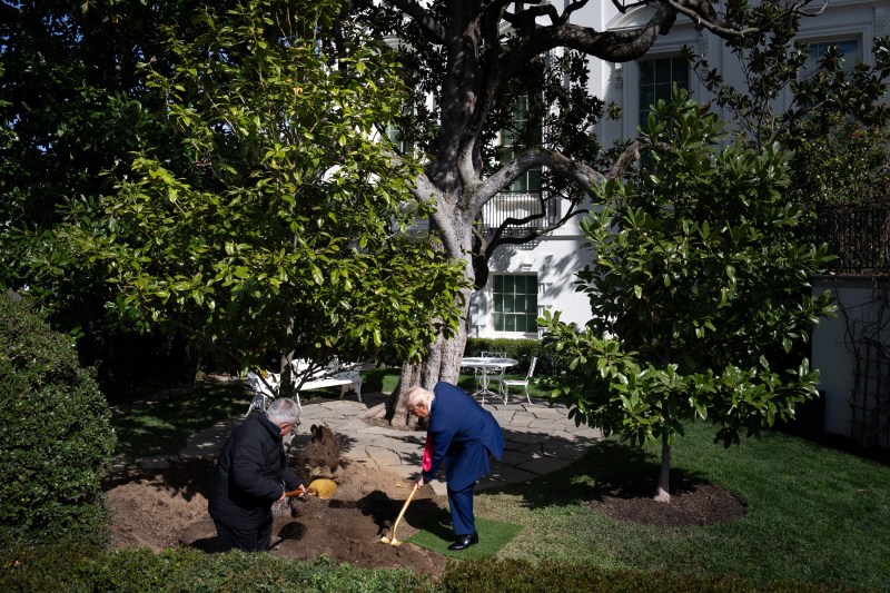 VIDEO „Înarmat” cu o lopată din aur, Trump a plantat o „MAGAnolia” în grădinile Casei Albe