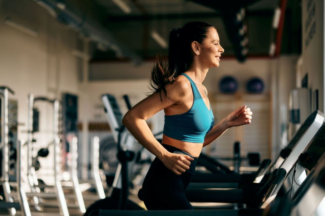 Shutterstock_2475606351