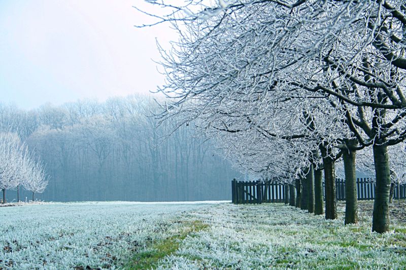 HARTĂ Valul de frig a adus marți dimineața în România îngheț chiar și la câmpie