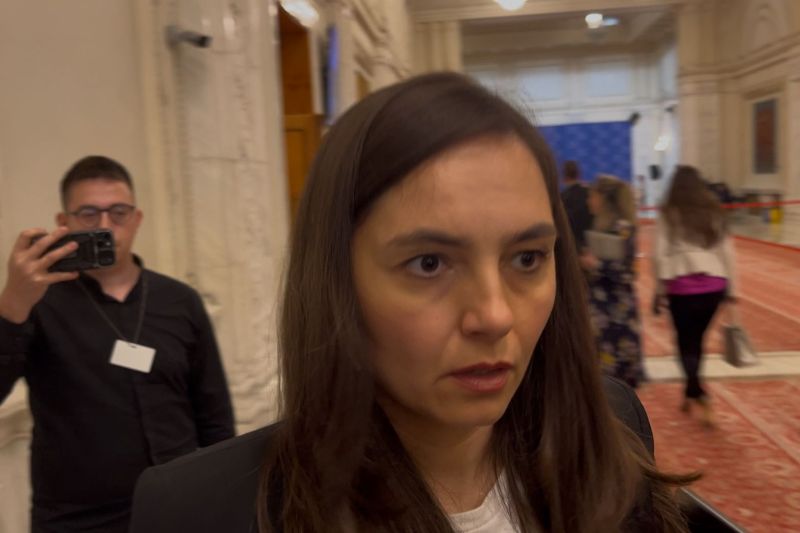 Anamaria Gavrilă, la Parlament. Foto: HotNews / David Leonard Bularca