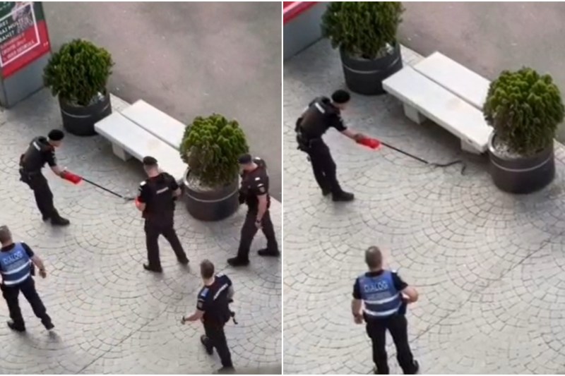 VIDEO Panică în Piața Victoriei după ce a fost găsit un șarpe. Intervenție a jandarmilor