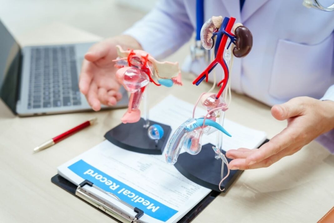 medic explica fertilitate feminina si masculina