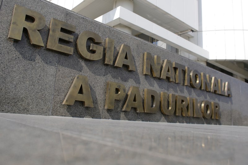 Numele controversate din noua conducere a Romsilva. Doi dintre membrii CA, inculpați în dosare de corupție. Ce spune ministra Mediului