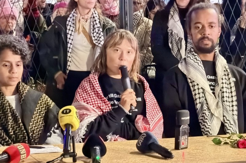 Greta Thunberg a încurcat fotografiile. Postarea care i-a adus un val de critici, după ce a fost expulzată de Israel