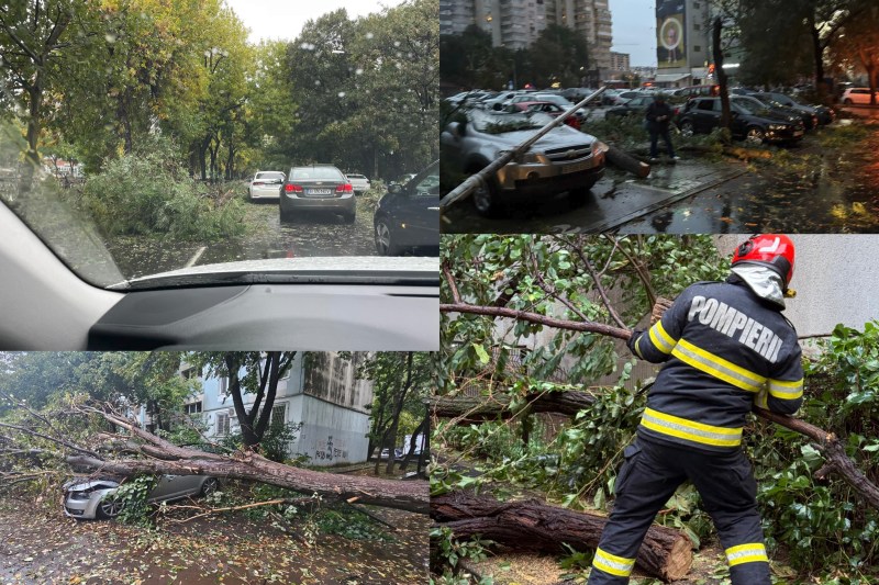 Sute de mașini din București și Ilfov, avariate după ce vântul puternic a pus la pământ sute de copaci