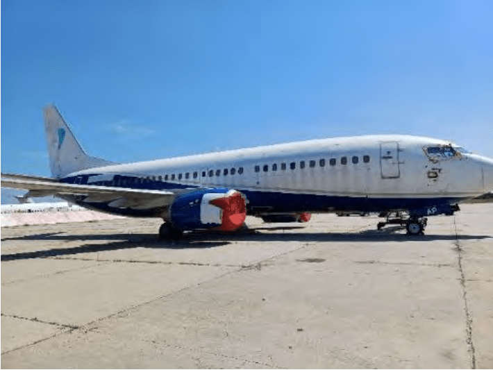 Avioane Blue Air la preț de garsonieră. La ce vor fi folosite aeronavele companiei falimentare a lui Nelu Iordache