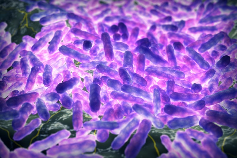 Al doilea caz de lepră confirmat în România după 44 de ani. Ce spun specialiștii despre riscul de transmitere a bolii