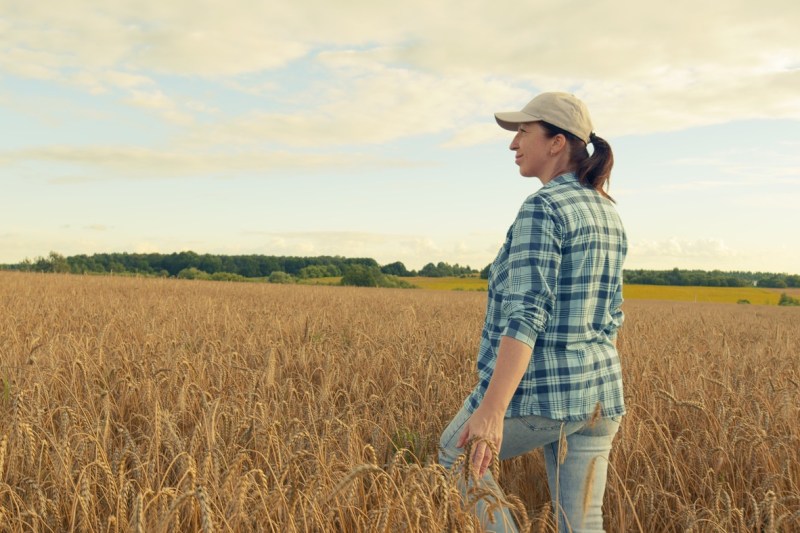 Clubul Fermierilor cere președintelui Dan să respingă acordul comercial dintre UE și Mercosur: „Riscă să pună în pericol securitatea alimentară”