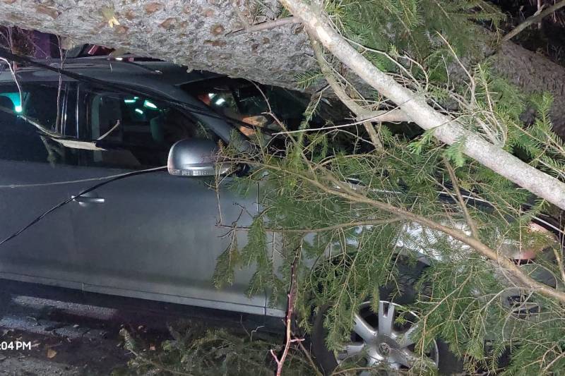 FOTO Copaci căzuți în Sinaia, ca urmare a codului portocaliu din Prahova. Un arbore a picat pe o mașină în care se aflau trei persoane