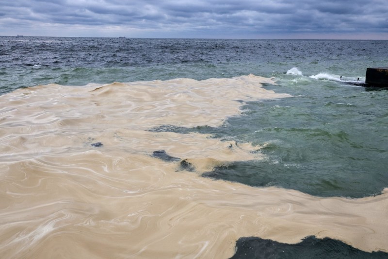 Poluare în Marea Neagră după bombardamentele rusești de la Odesa. Zeci de păsări moarte au fost scoase din apă