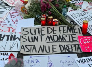 Proiectul care pedepsește femicidul la fel ca omorul calificat, adoptat de Senat / „Violența domestică degenerează în crimă”