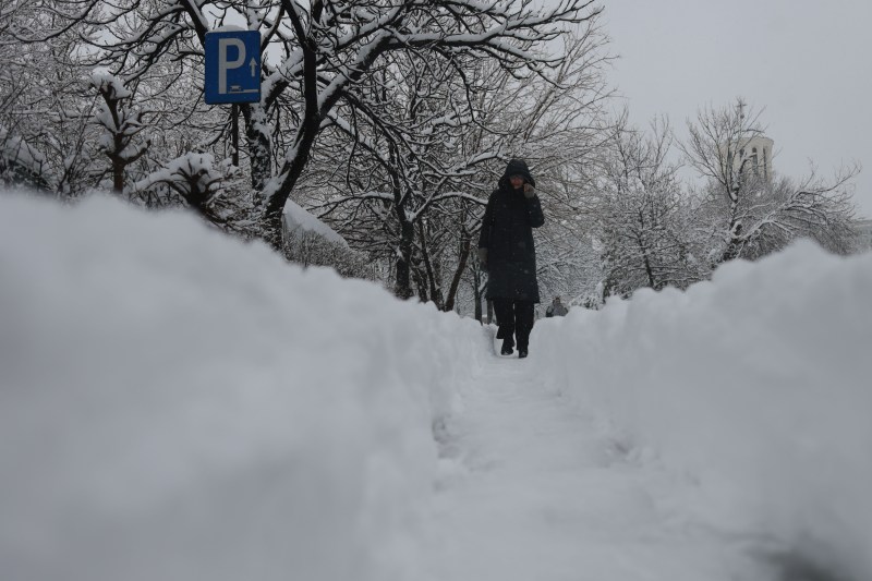 Adolescentă electrocutată pe stradă după ce un copac s-a prăbușit peste firele de tensiune, în București