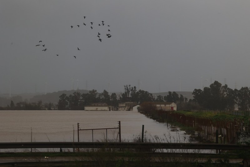 „O adevărată catastrofă”. Fermierii spanioli reclamă pagube de milioane de euro după succesiunea de furtuni din Peninsula Iberică
