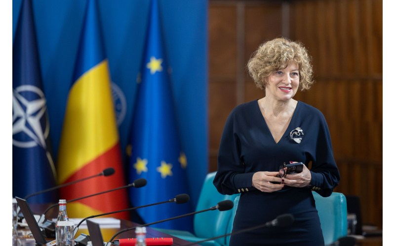 Oana Gheorghiu: Statul nu se poate „juca” cu firmele sale. Guvernul pregătește ghiduri pentru miniștri