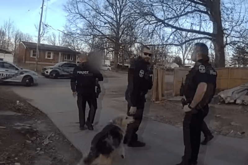 VIDEO Un câine apărut de nicăieri i-a condus pe polițiști direct la un băiețel de 3 ani dispărut