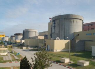 Nuclearelectrica distribuie dividende consistente aferente anului 2025. Când vor începe plățile efective