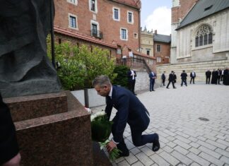 Prima țară în care merge Peter Magyar ca premier și motivul pentru care va lua trenul, pe o linie construită de către „maleficul Bruxelles”