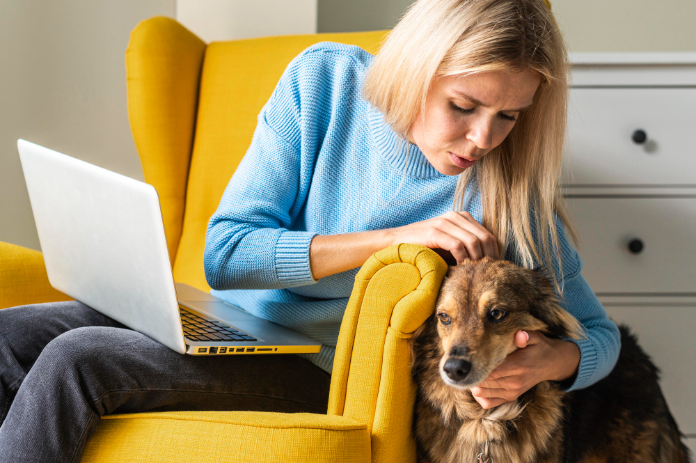 Ce faci când pet sitter-ul din București anulează în ultima clipă