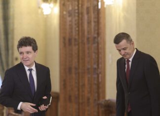 INTERVIU „Văd că şi Nicuşor Dan e pro-PSD. Nu înţeleg de ce nu fac un mare PSD, pe care-l numească «partid unic»”
