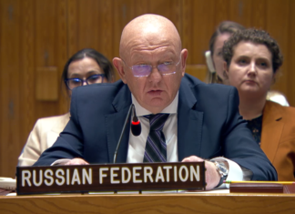 Replica Oanei Ţoiu după afirmațiile ambasadorului Rusiei la ONU despre drona căzută în România