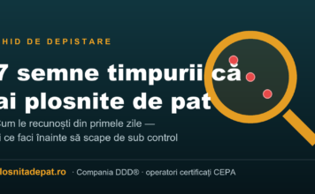 Lupă care evidențiază mușcăturile aliniate, semn timpuriu de plosnite de pat