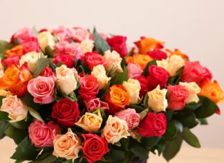 Buchet cu 7, 17 sau 35 de trandafiri? Cum alegi varianta potrivită