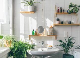 Cum transformi baia într-un spațiu relaxant, cu ajutorul plantelor?
