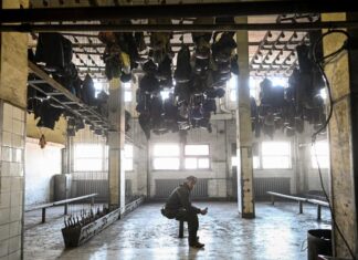 HARTĂ Centrele industriale au pierdut sute de mii de muncitori. Județele care au plătit cel mai mult tranziția economiei României