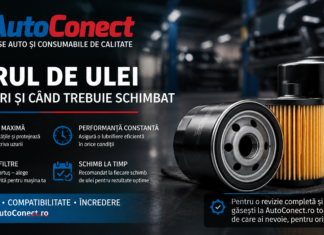 Filtrul de ulei – rol, tipuri și când trebuie schimbat pentru a proteja motorul mașinii