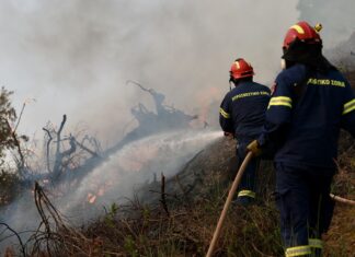 Incendiu pe insula grecească Skyros din Marea Egee. Ordin de evacuare pentru o localitate